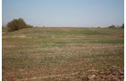 Property photo 2 - 641 Acres Offered in 16 Tracts - 545 Cropland Acres